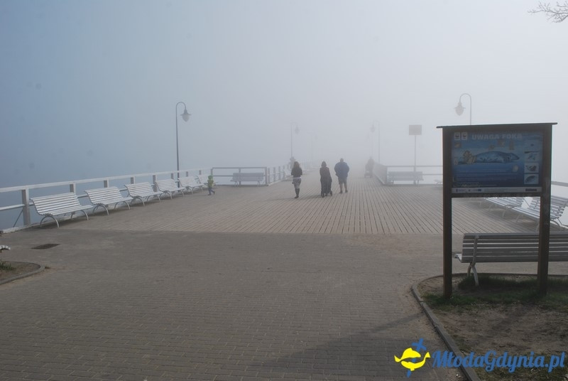 II Bieg Nadziei - Wielka Sztafeta Żonkilowa 02.04.2017