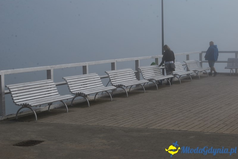 II Bieg Nadziei - Wielka Sztafeta Żonkilowa 02.04.2017