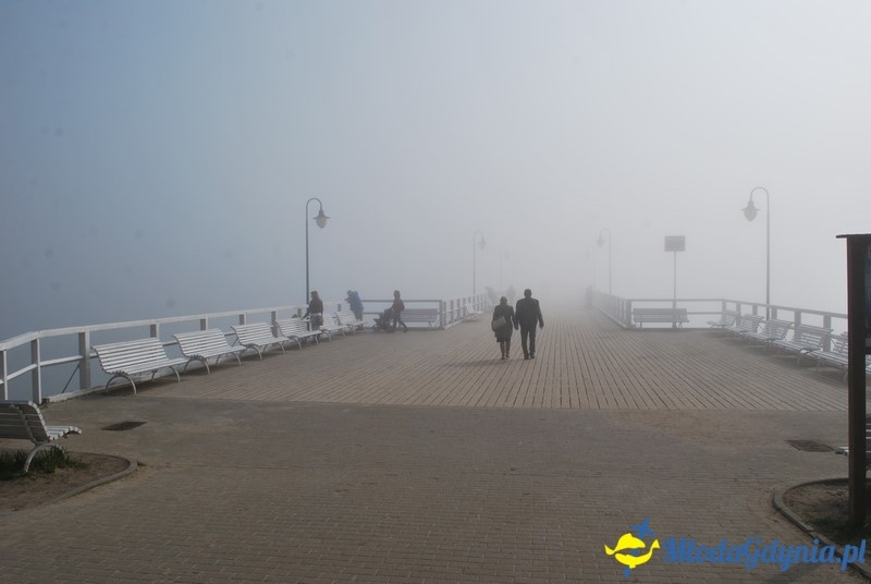 II Bieg Nadziei - Wielka Sztafeta Żonkilowa 02.04.2017