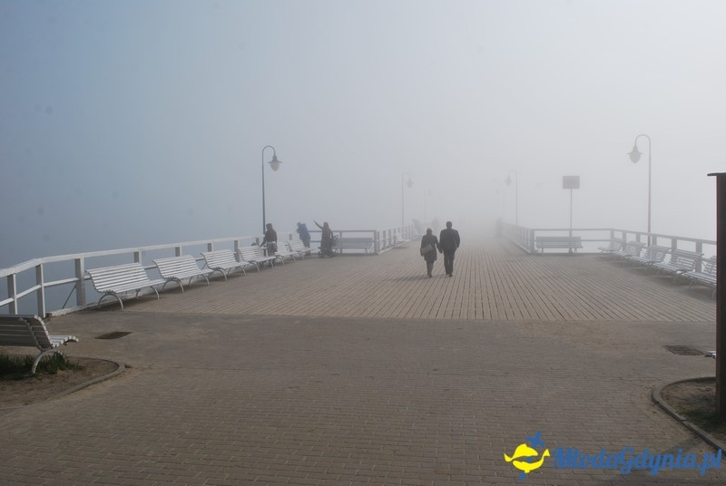 II Bieg Nadziei - Wielka Sztafeta Żonkilowa 02.04.2017