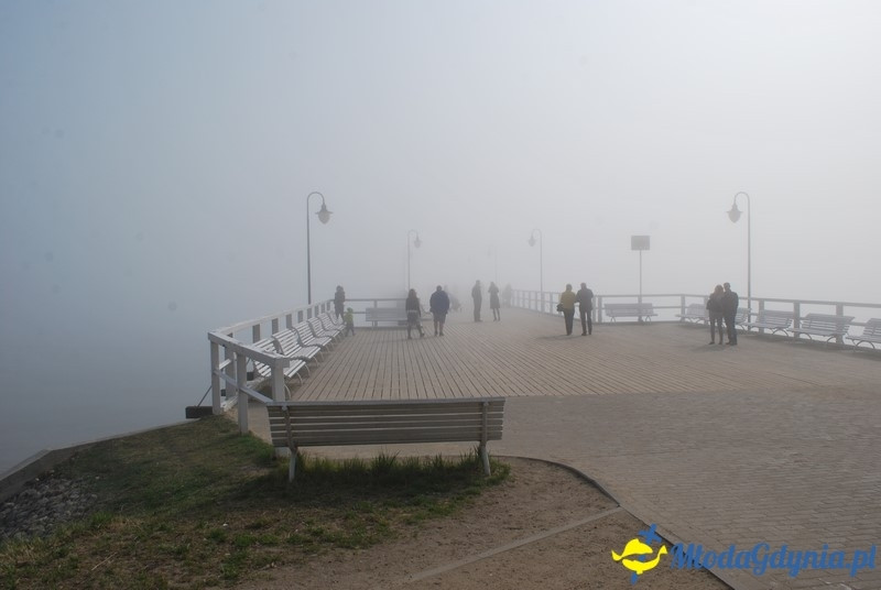 II Bieg Nadziei - Wielka Sztafeta Żonkilowa 02.04.2017