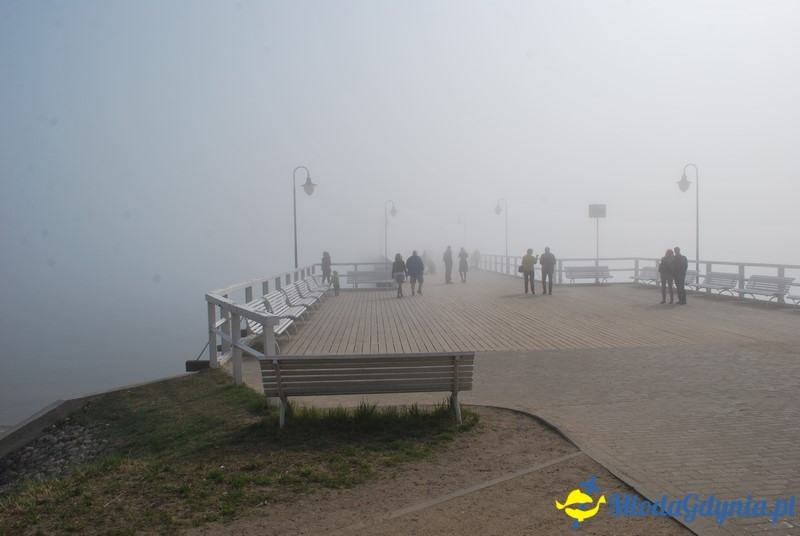 II Bieg Nadziei - Wielka Sztafeta Żonkilowa 02.04.2017