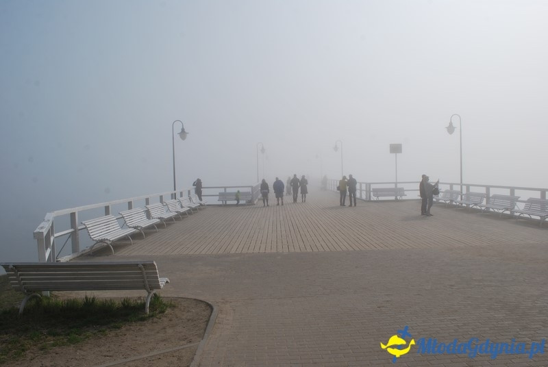 II Bieg Nadziei - Wielka Sztafeta Żonkilowa 02.04.2017