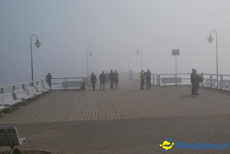 II Bieg Nadziei - Wielka Sztafeta Żonkilowa 02.04.2017