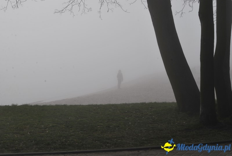 II Bieg Nadziei - Wielka Sztafeta Żonkilowa 02.04.2017