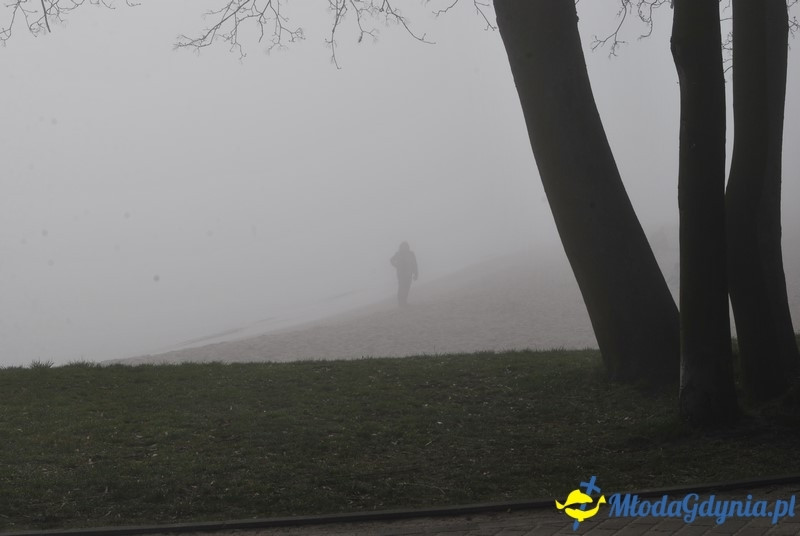 II Bieg Nadziei - Wielka Sztafeta Żonkilowa 02.04.2017