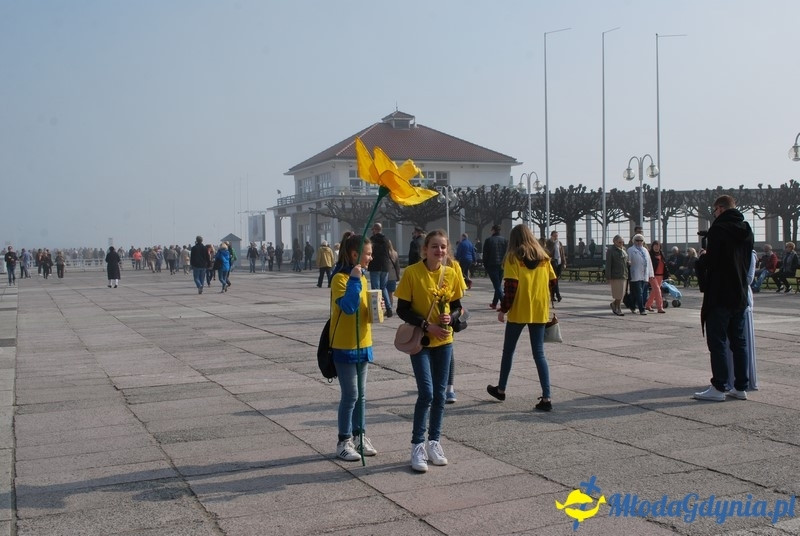 II Bieg Nadziei - Wielka Sztafeta Żonkilowa 02.04.2017