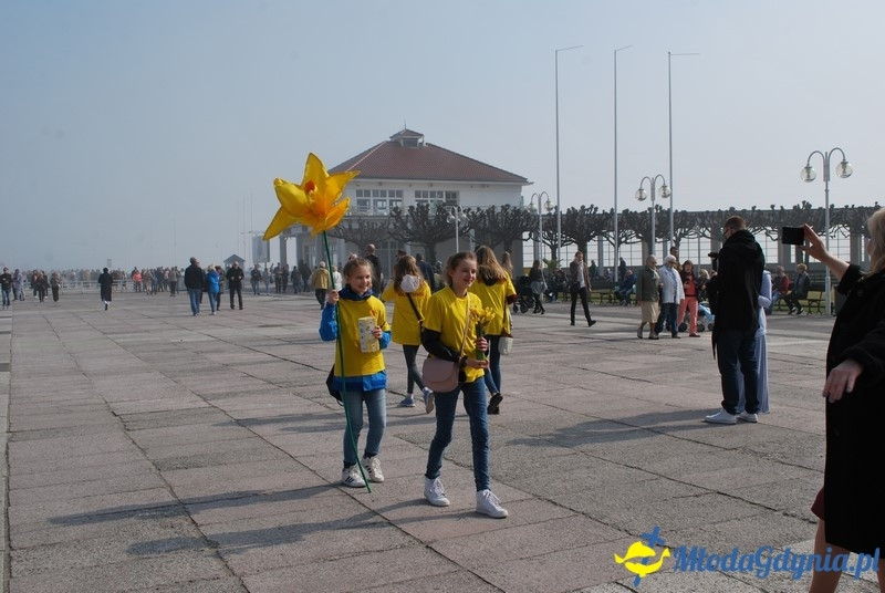 II Bieg Nadziei - Wielka Sztafeta Żonkilowa 02.04.2017