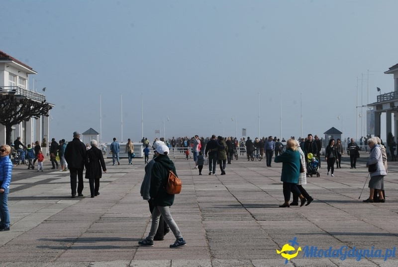 II Bieg Nadziei - Wielka Sztafeta Żonkilowa 02.04.2017