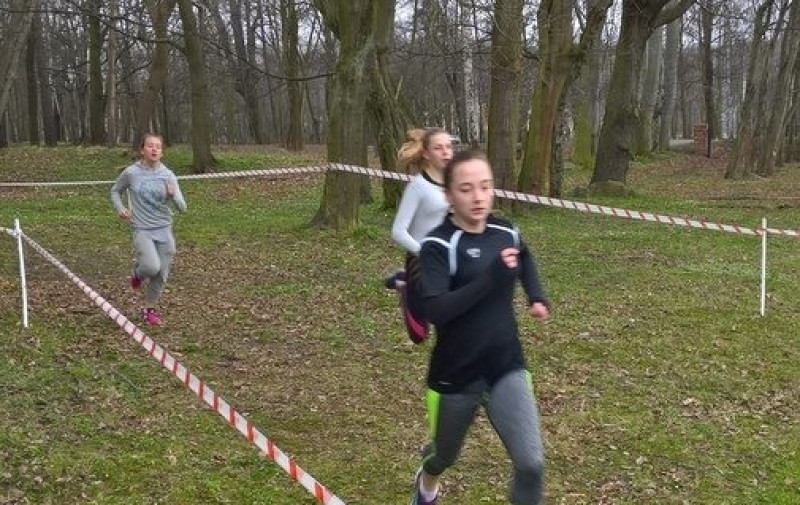 ZS 11 - Biegi Przełajowe 2017