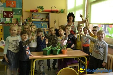 Szkoła Podstawowa nr 23