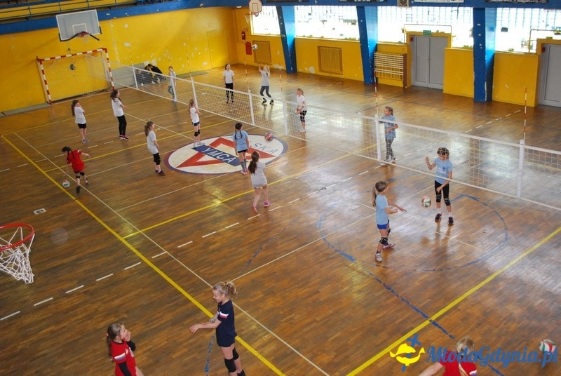 Gdynia Mini Volley Cup 2017 - UKS Gdyńska Akademia Siatkówki 08.04.2017 (I)