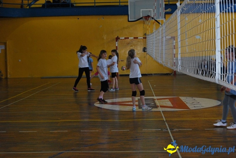 Gdynia Mini Volley Cup 2017 - UKS Gdyńska Akademia Siatkówki 08.04.2017 (I)