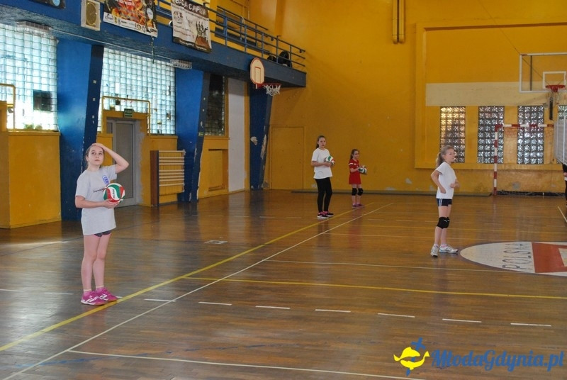 Gdynia Mini Volley Cup 2017 - UKS Gdyńska Akademia Siatkówki 08.04.2017 (I)