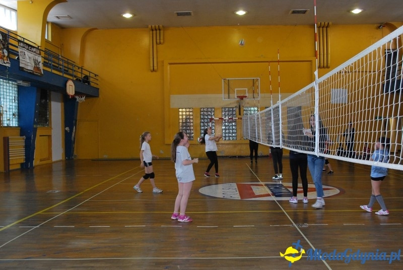 Gdynia Mini Volley Cup 2017 - UKS Gdyńska Akademia Siatkówki 08.04.2017 (I)