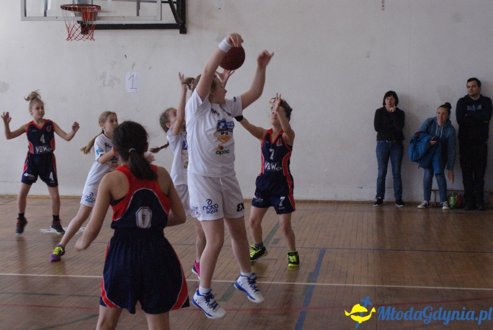 Młoda Liga Koszykówki 2017