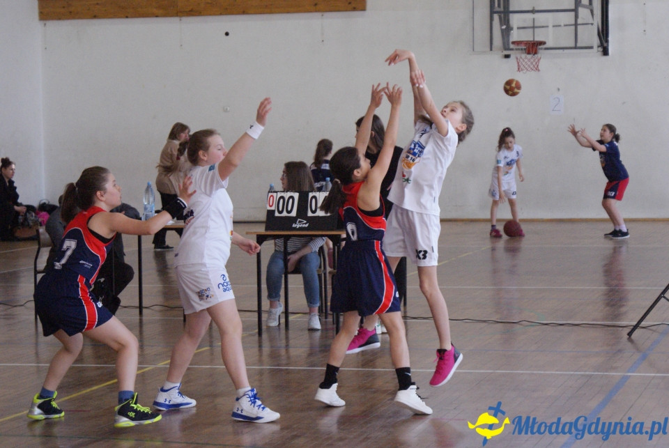 Młoda Liga Koszykówki 2017