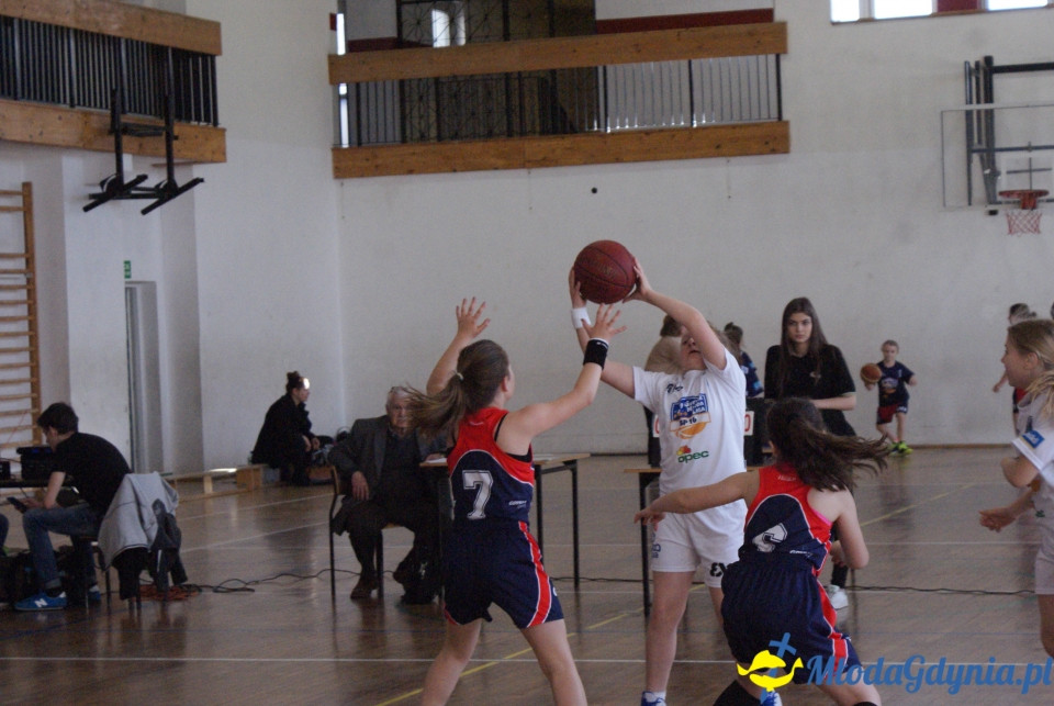Młoda Liga Koszykówki 2017