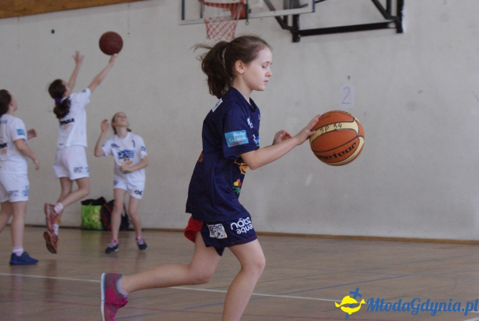 Młoda Liga Koszykówki 2017