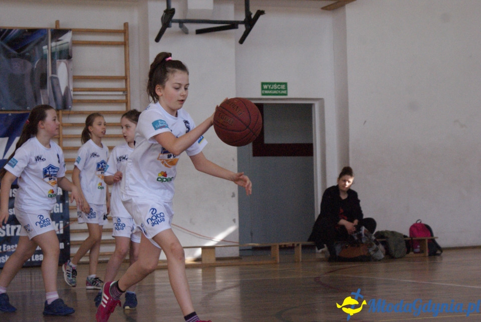 Młoda Liga Koszykówki 2017