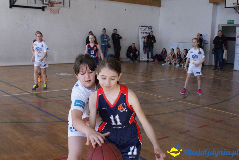Młoda Liga Koszykówki 2017