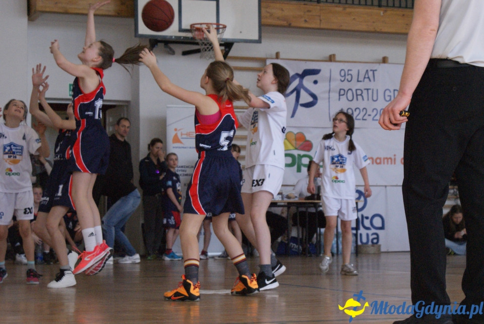 Młoda Liga Koszykówki 2017