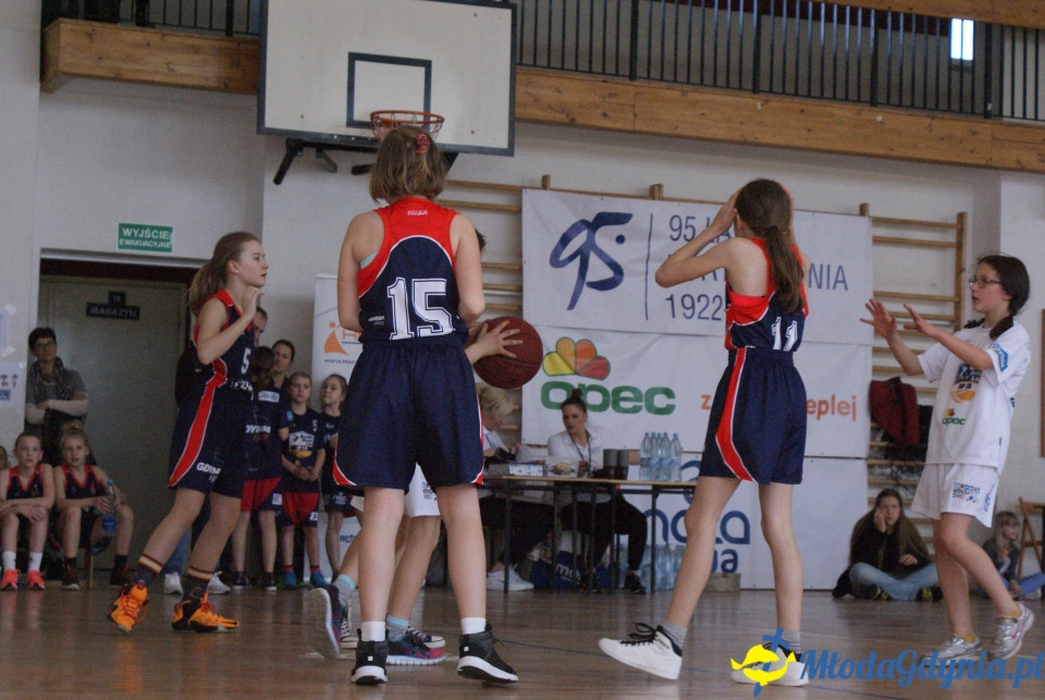 Młoda Liga Koszykówki 2017