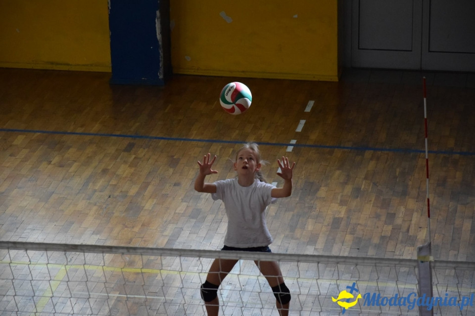 Gdynia Mini Volley Cup 2017 z Gdyńska Akademia Siatkówki 8.04.17 (II)
