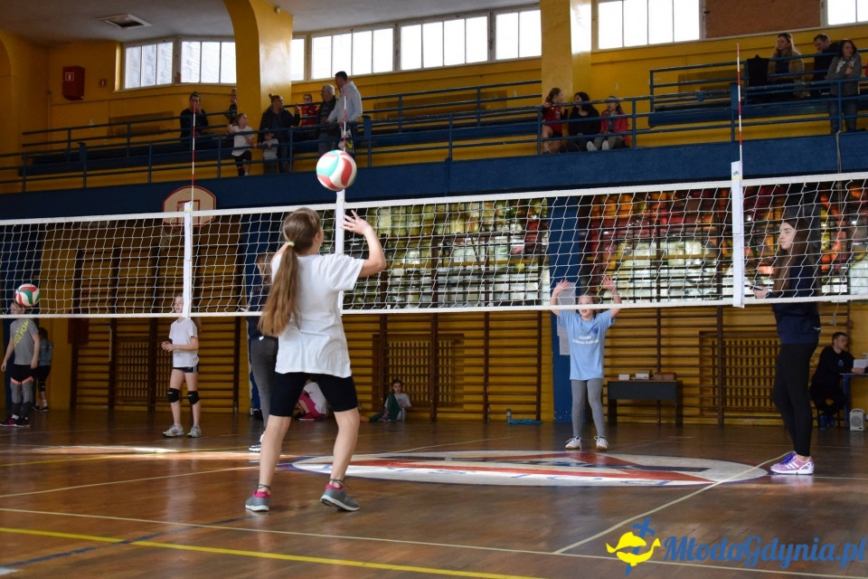 Gdynia Mini Volley Cup 2017 z Gdyńska Akademia Siatkówki 8.04.17 (II)