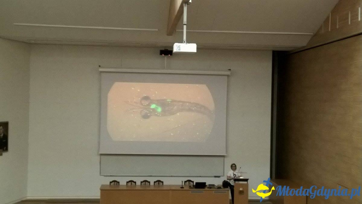 UMO AMW - zajęcia 4 - grupa starsza - Zanieczyszczenia i mikroplastiki