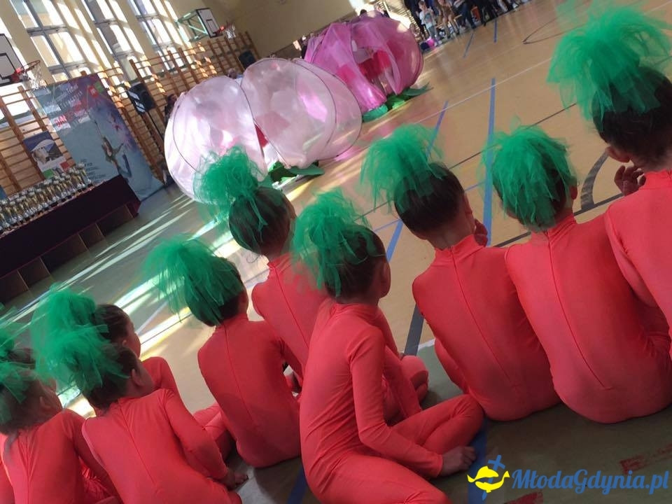 V Ogólnopolski Turniej Form Tanecznych Dance Show Gdańsk 2017