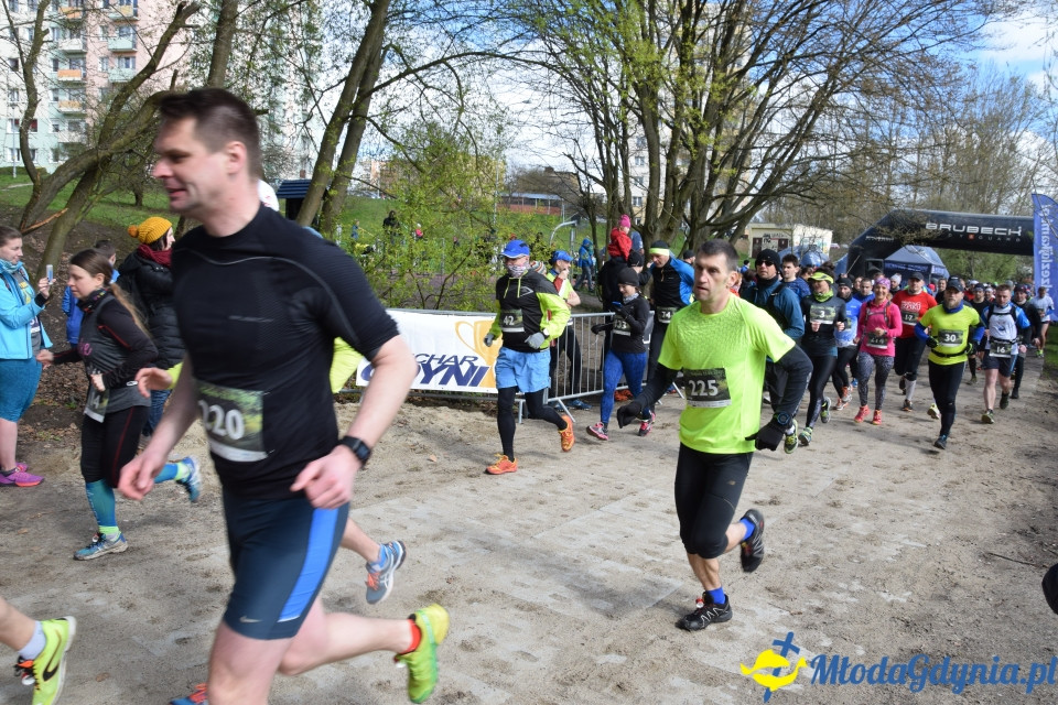 Leśny Bieg i Leśny Marsz