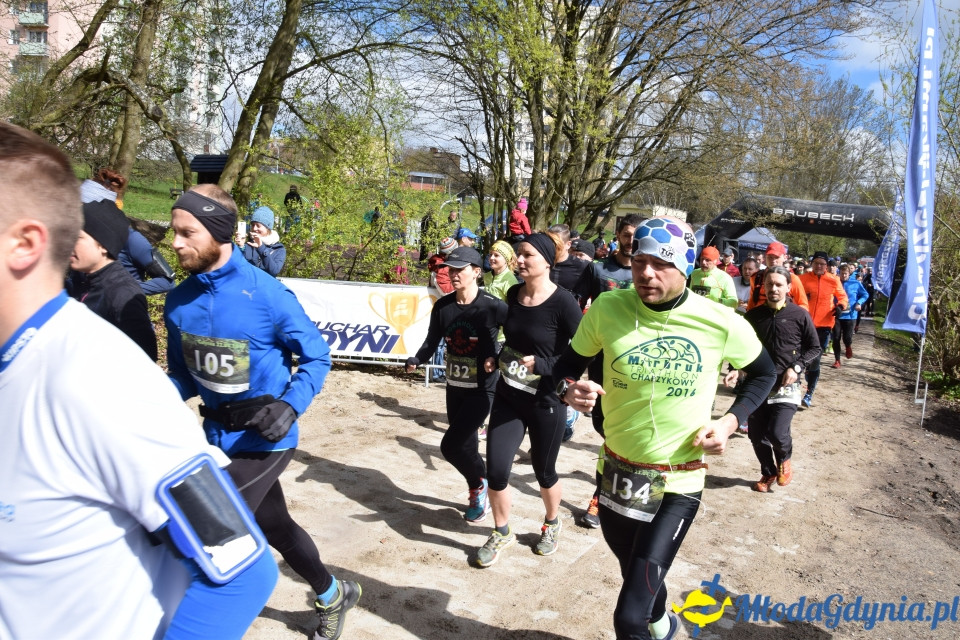Leśny Bieg i Leśny Marsz