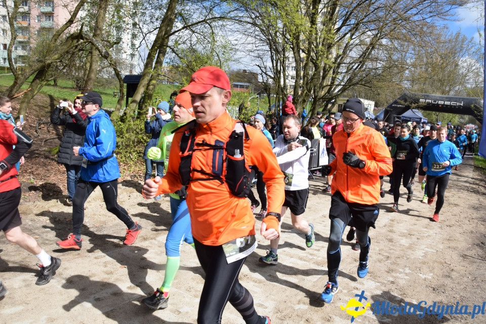 Leśny Bieg i Leśny Marsz
