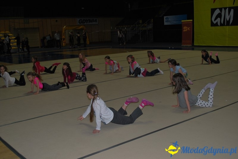 Gim Show 2017 (I)