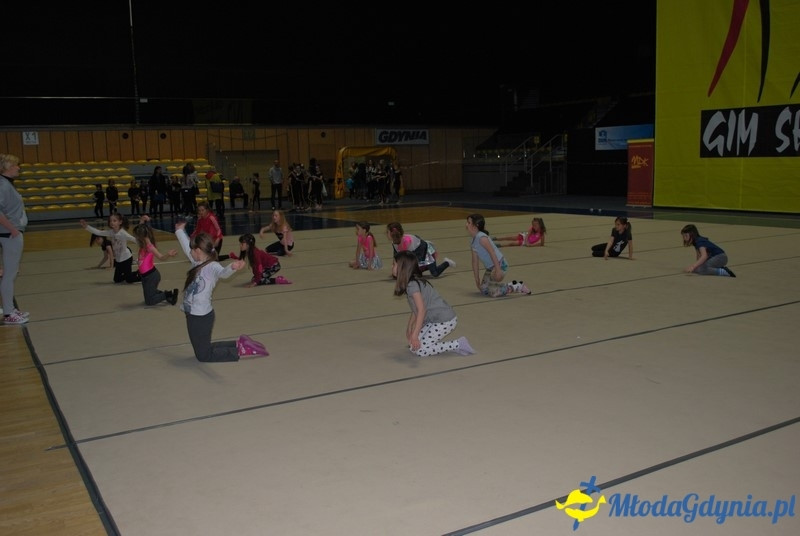 Gim Show 2017 (I)