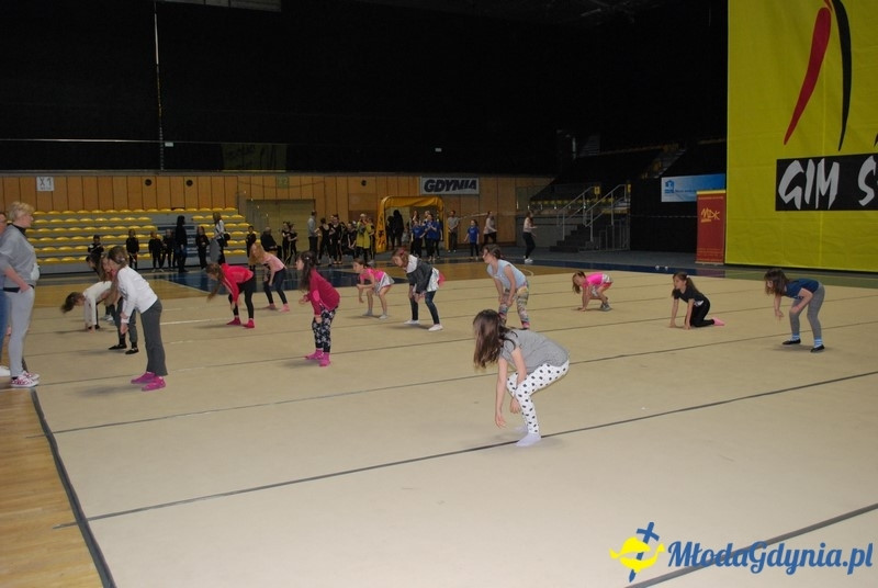 Gim Show 2017 (I)