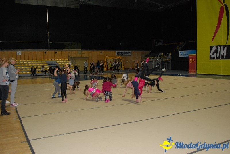 Gim Show 2017 (I)