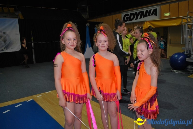 Gim Show 2017 (I)