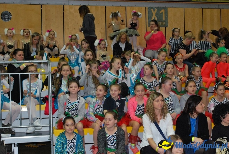 Gim Show 2017 (I)
