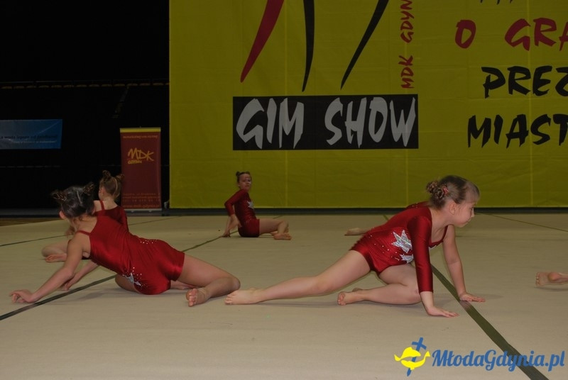 Gim Show 2017 (I)