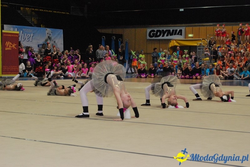 Gim Show 2017 (I)