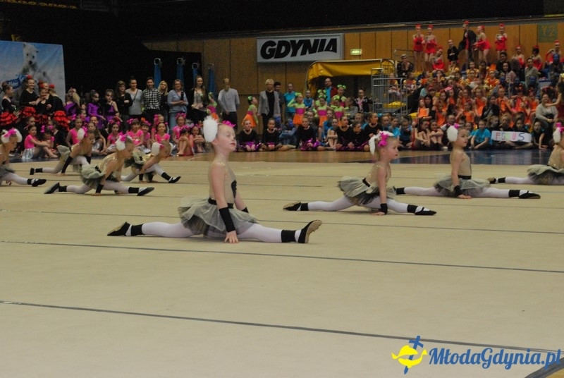 Gim Show 2017 (I)