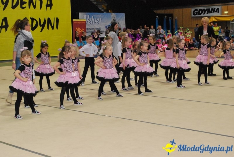 Gim Show 2017 (I)