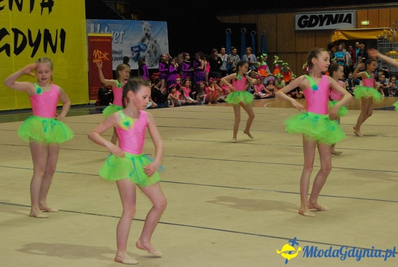 Gim Show 2017 (I)