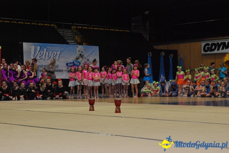 Gim Show 2017 (I)