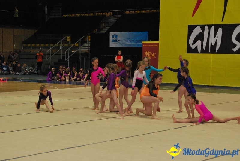 Gim Show 2017 (I)