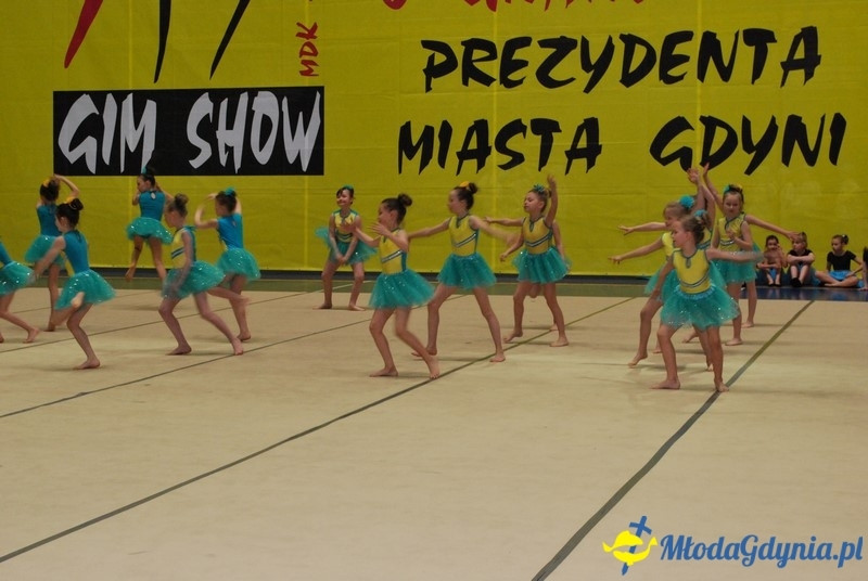 Gim Show 2017 (I)