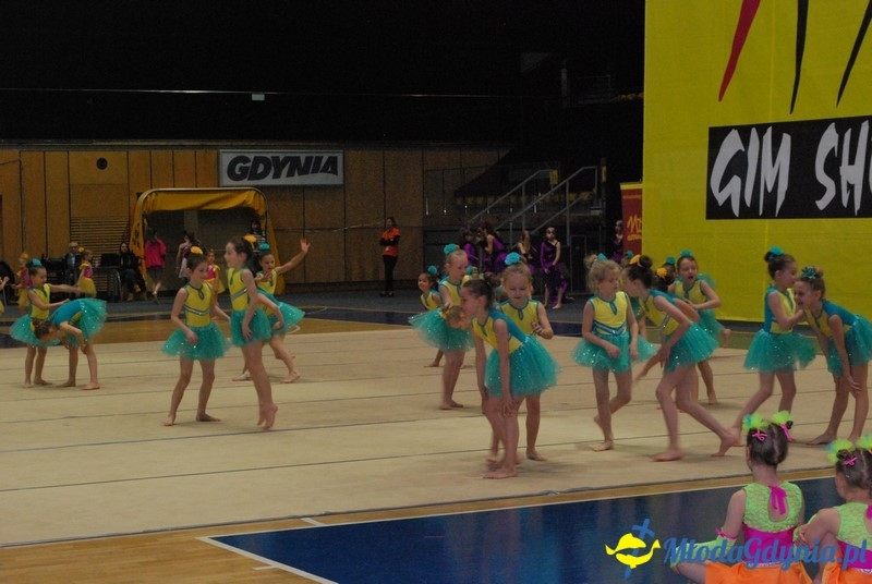 Gim Show 2017 (I)
