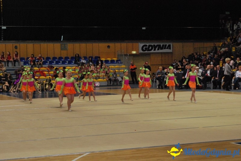 Gim Show 2017 (I)